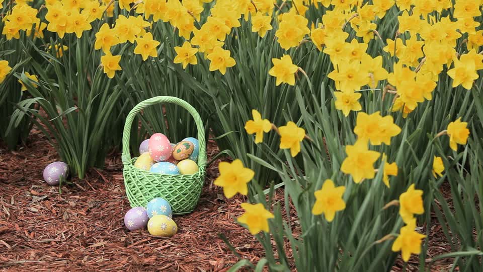Easter Day April 17th 2017 Sunday